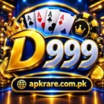 D999 Game