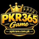 PKR365 Game icon