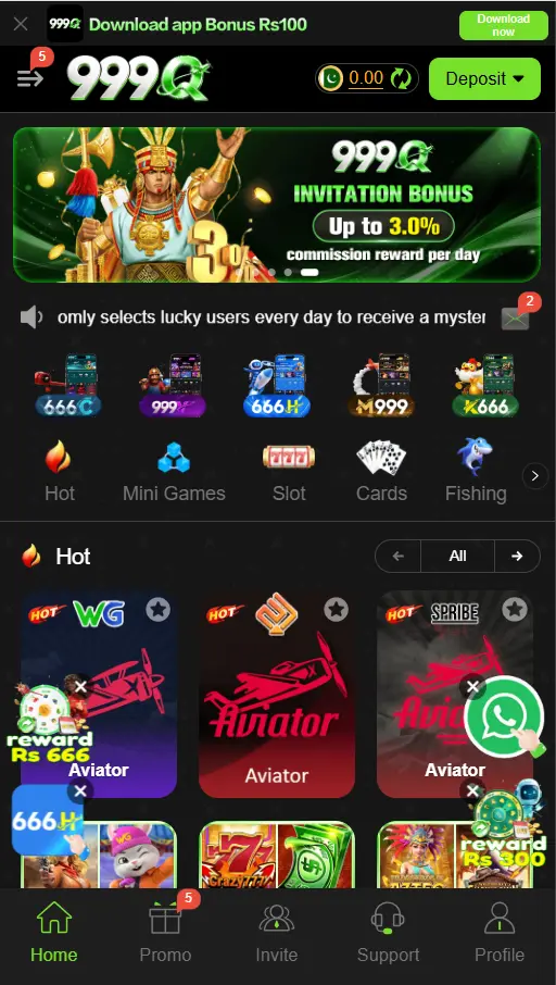 999q game