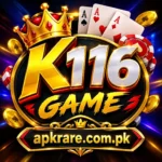K116 Game