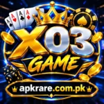 X03 game